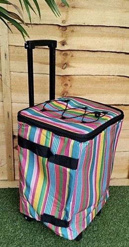 Pull along picnic - pull,
