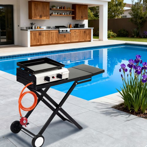 Folding gas barbecue combo bbq - folding,