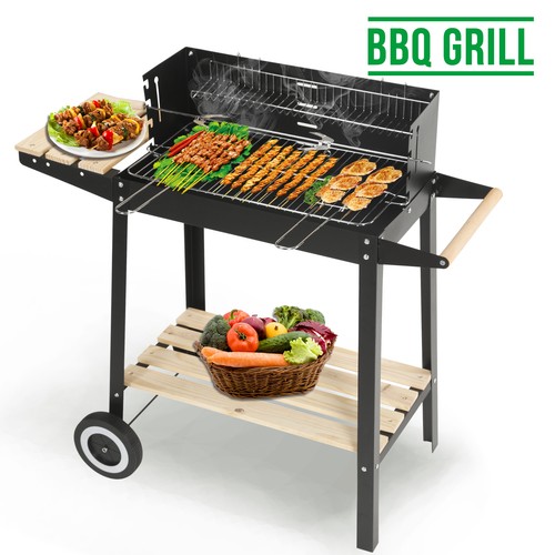 Charcoal bbq grill - grill, trolley
