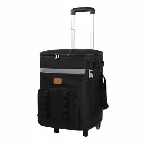 Rolling cooler bag - rolling,