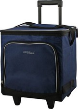 Thermocafe Travel Cool Bag