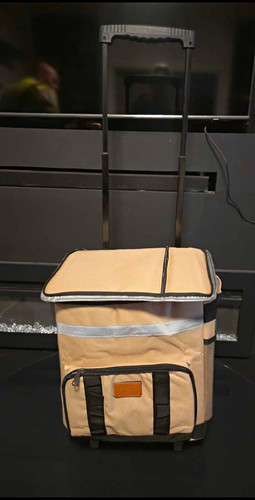 Beige black insulated cool bag - insulated,