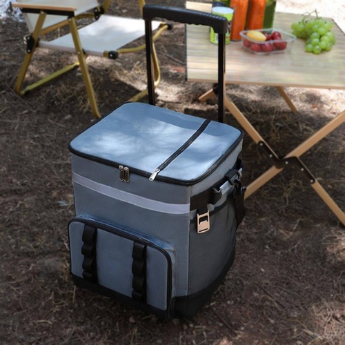 Rolling cooler bag - rolling,